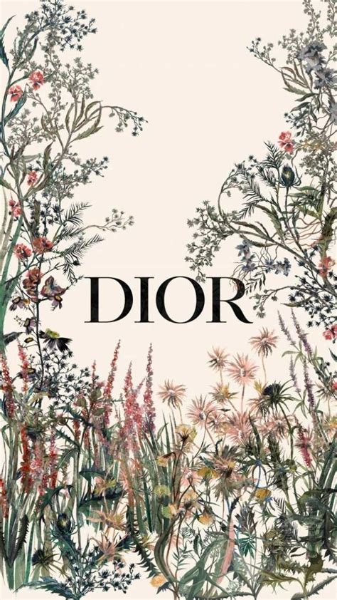 fond d'ecran dior .